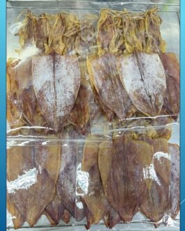 หมึก ​7 นิ้ว