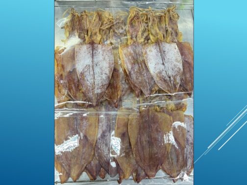 หมึก ​7 นิ้ว