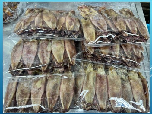 หมึก​แพไข่